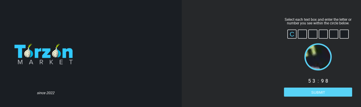 TorZon Market darknet interface overview